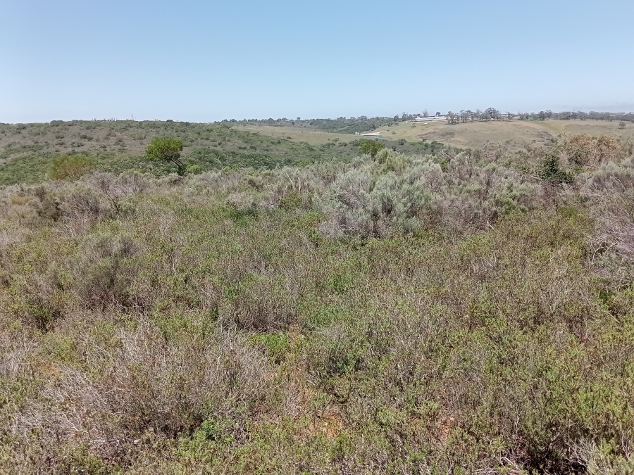 Commercial Property for Sale in Rocklands Eastern Cape